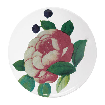 John Derian Small Voluptuous Rose Plate, set of 6 by Astier de Villatte, official product view