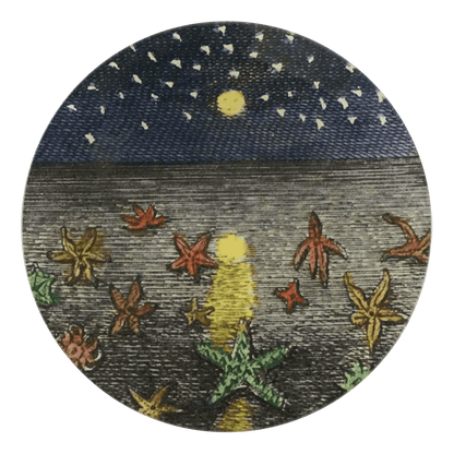 Starfish at Night | John Derian - Bon Ton goods