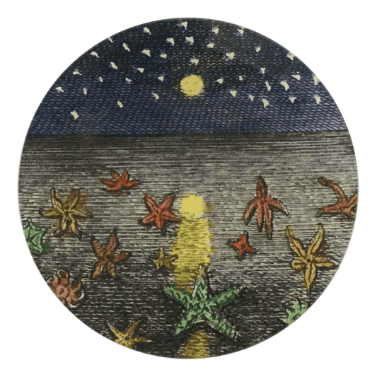Starfish at Night | John Derian - Bon Ton goods