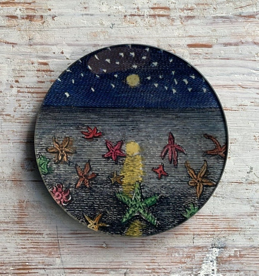 Starfish at Night | John Derian - Bon Ton goods