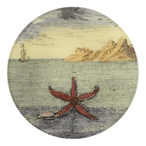 Starfish by Day - Mirror & Button Pins - Bon Ton goods