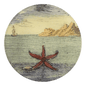 Starfish by Day - Mirror & Button Pins | John Derian - Bon Ton goods
