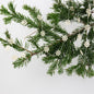 Stella Star Garland, Natural | Christmas Ornament - Bon Ton goods