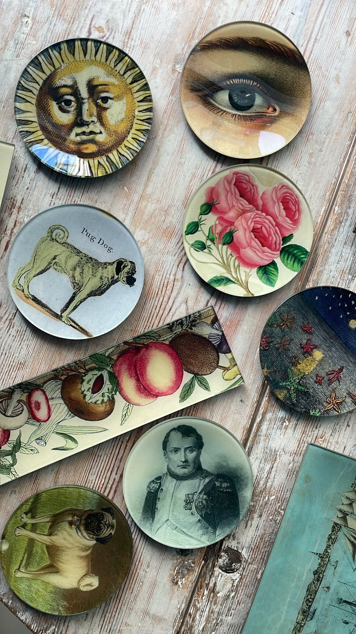 Sun Fountain Face | John Derian - Bon Ton goods