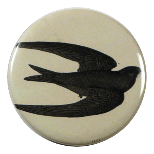 Swift Bird - Mirror & Button Pins | John Derian - Bon Ton goods