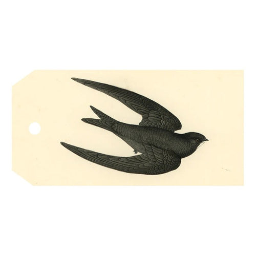 Swift Bird (Swallow) - Gift Tags - Bon Ton goods