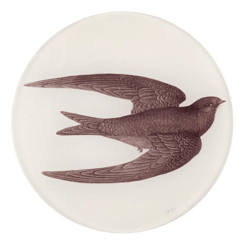 Swift Bird (Swallow) | John Derian - Bon Ton goods