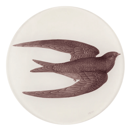 Swift Bird (Swallow) | John Derian - Bon Ton goods