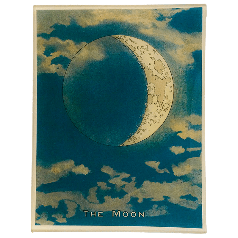 The Moon (Blue Crescent) | John Derian - Bon Ton goods