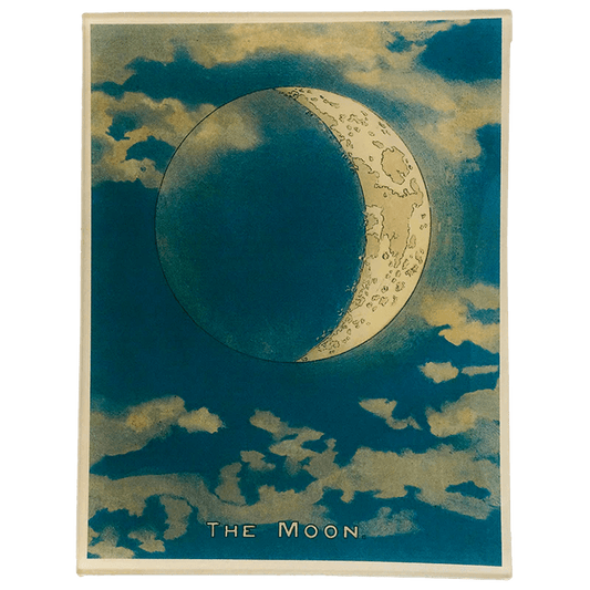 The Moon (Blue Crescent) | John Derian - Bon Ton goods