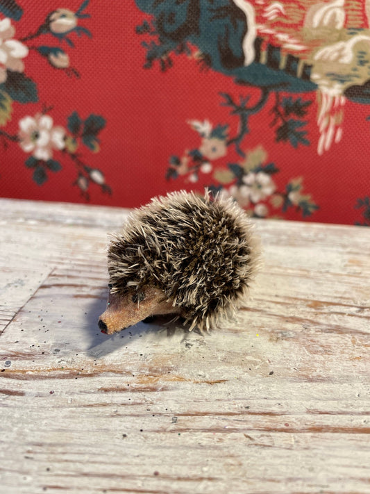 Tiny Hedgehog | Ino Schaller - Bon Ton goods
