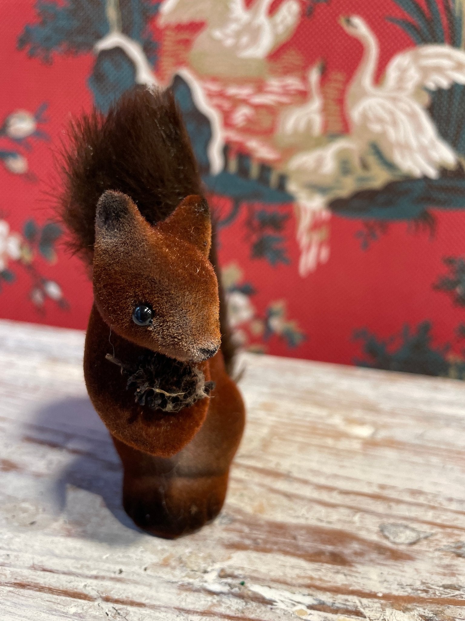 Tiny Squirrel With Furry Tail | Ino Schaller - Bon Ton goods