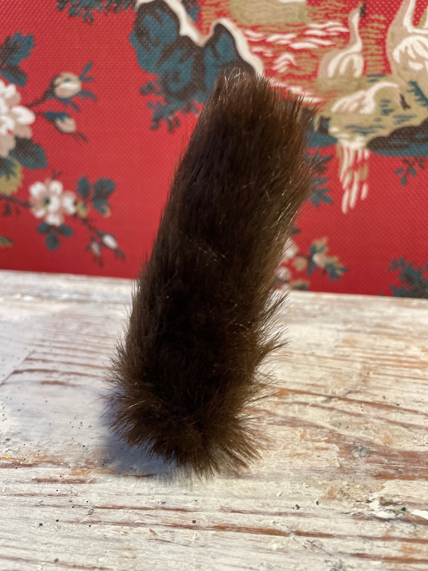 Tiny Squirrel With Furry Tail | Ino Schaller - Bon Ton goods