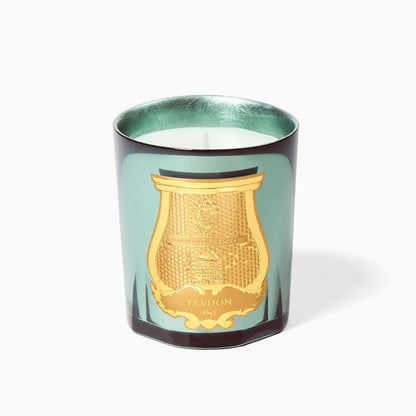 Trudon fir — La Nuit des Glaces Christmas 2026, official product photograph