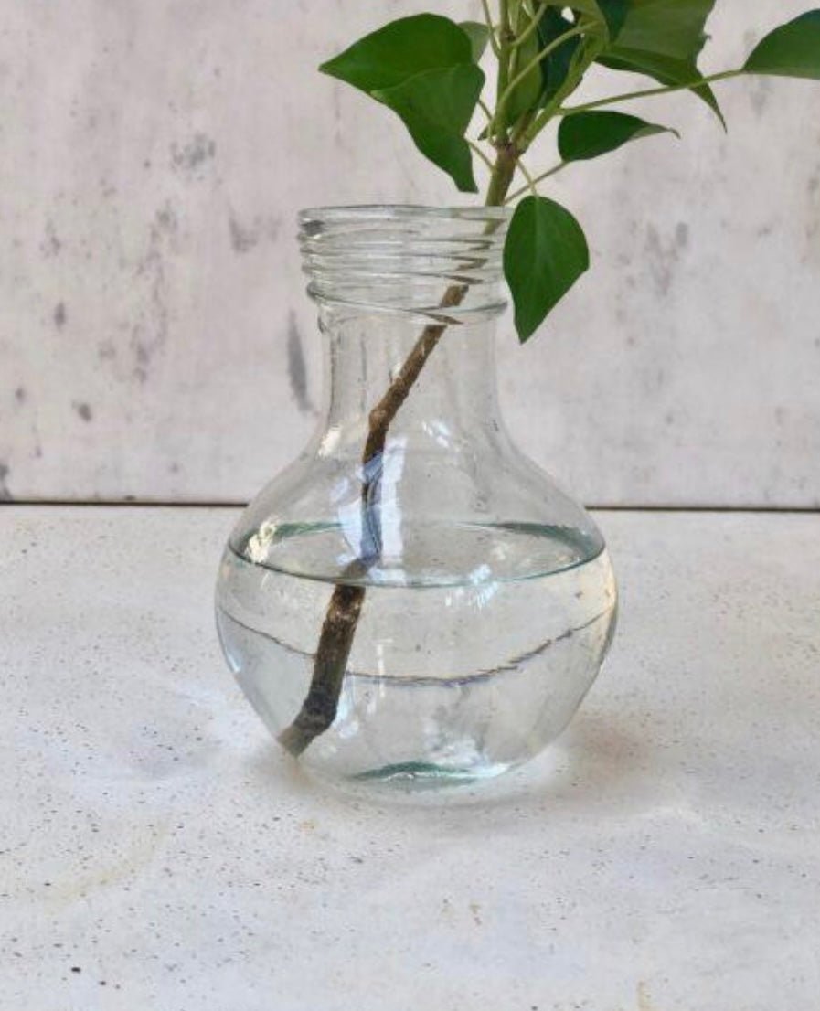 Vase Ampoule | La Soufflerie - Bon Ton goods