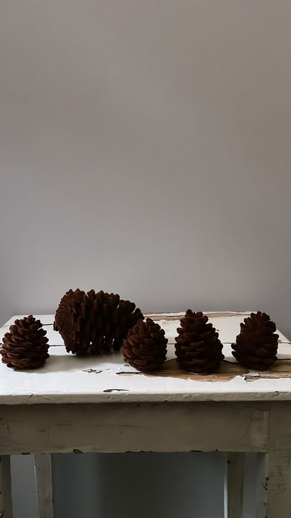 Velvet Pinecone Large - Brown | Ino Schaller - Bon Ton goods