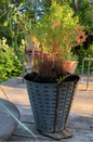 Vintage Olive Harvest Basket - Bon Ton goods