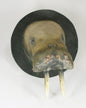 Walrus Mount - Bon Ton goods