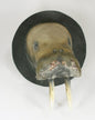 Walrus Mount - Bon Ton goods