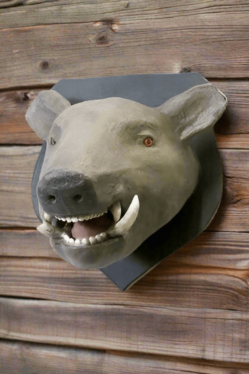 Wild Boar Mount - Bon Ton goods