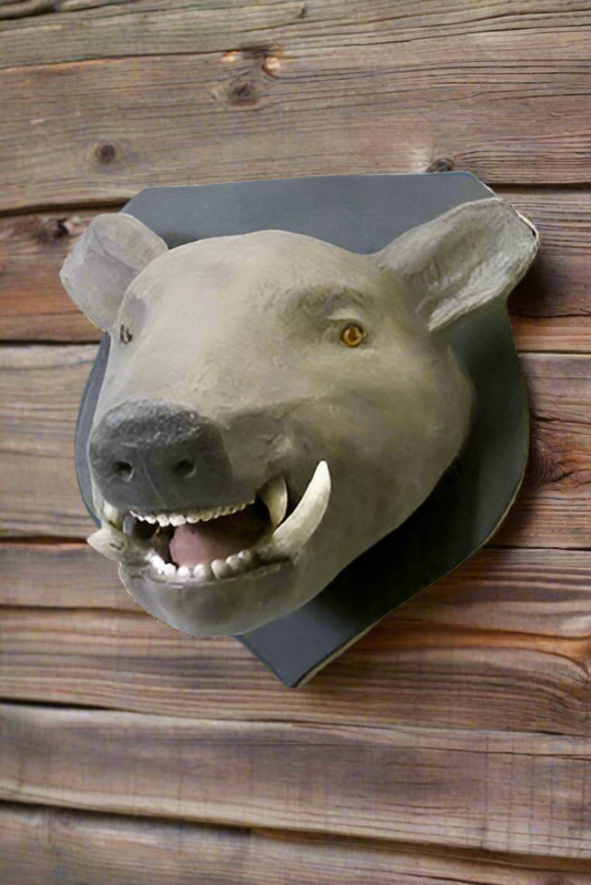 Wild Boar Mount