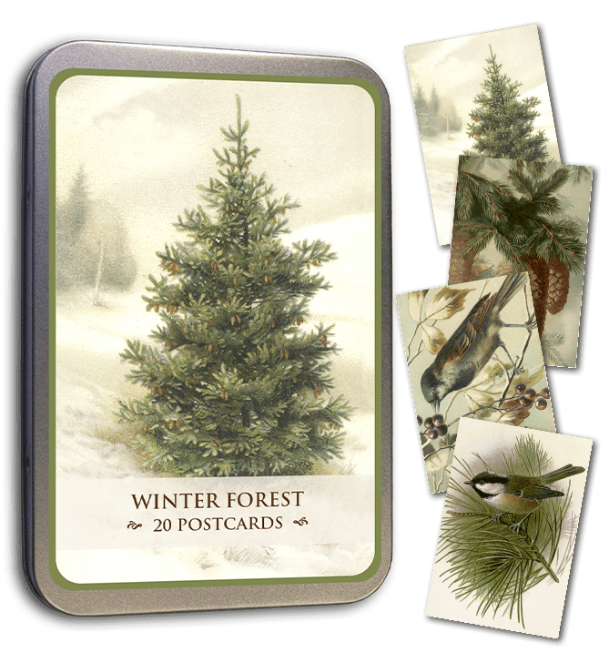 Winter Forest Tin of Postcards | Skona Ting - Bon Ton goods
