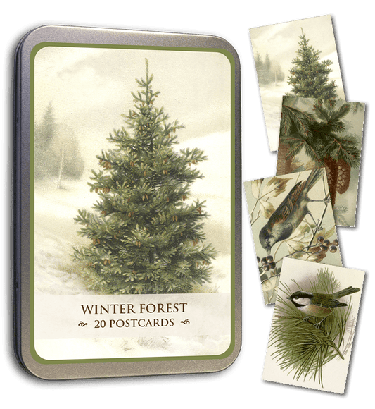Winter Forest Tin of Postcards | Skona Ting - Bon Ton goods