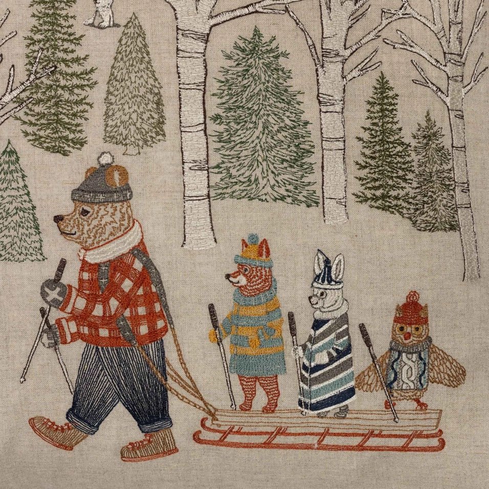 Winter Fun Pillow | Coral & Tusk - Bon Ton goods