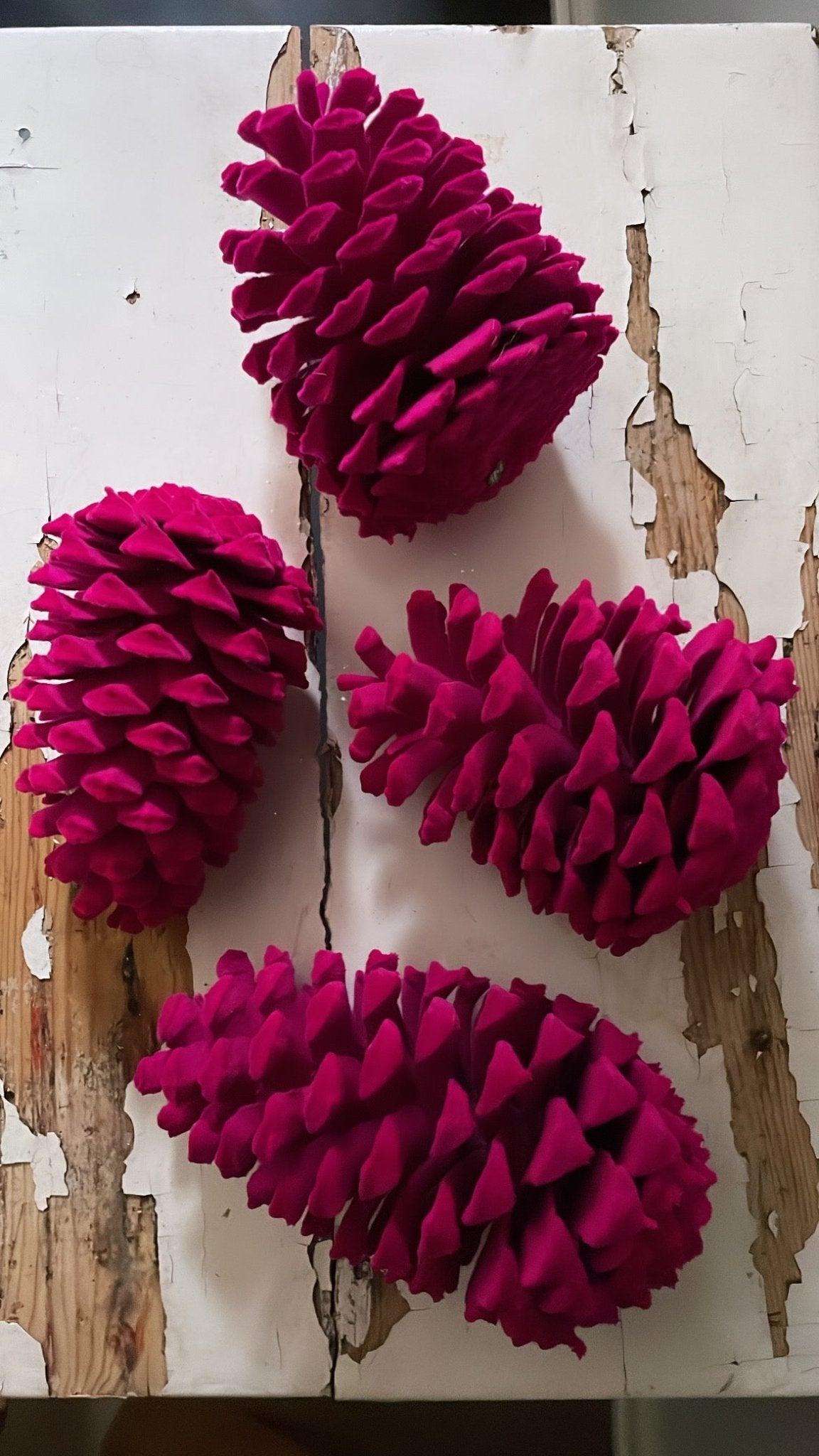 XL Velvet Pinecone Fuchsia | Ino Schaller - Bon Ton goods