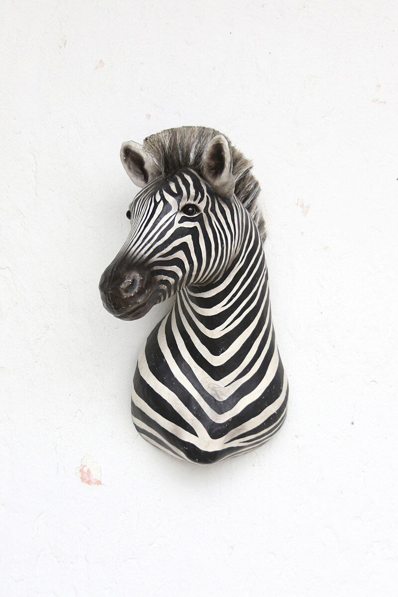Zebra Mount - Large: Exclusive Pre-Order - Bon Ton goods