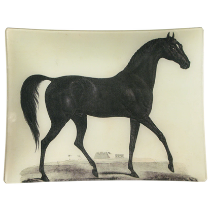 Arabian Horse | John Derian