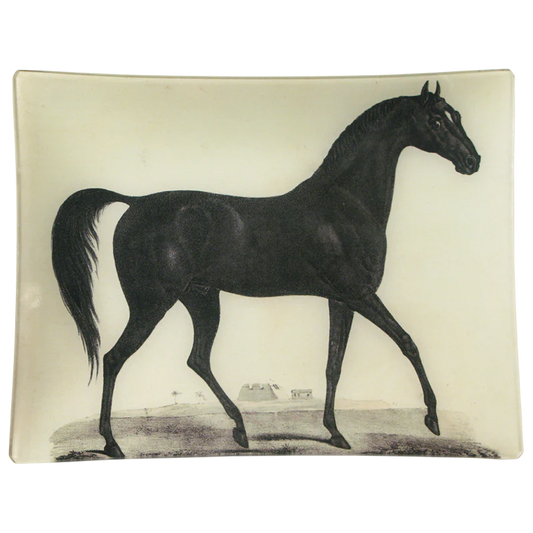 Arabian Horse -  John Derian Company