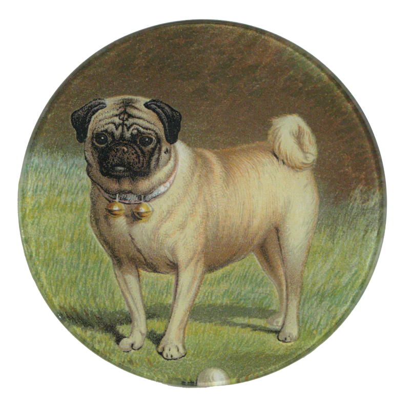 Pug & Ball