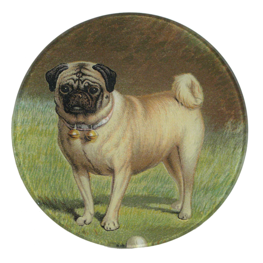 Pug & Ball