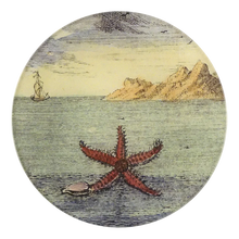 Load image into Gallery viewer, Starfish (by Day)
