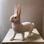 White Bunny Walking | Ino Schaller