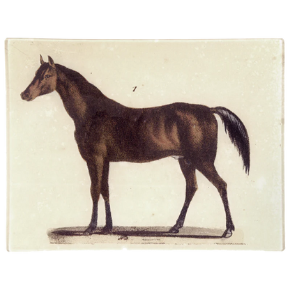 Horse  #1 | John Derian