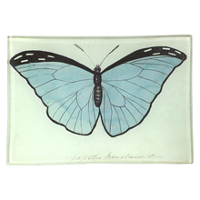 Load image into Gallery viewer, Blue Papilio (Butterfly)
