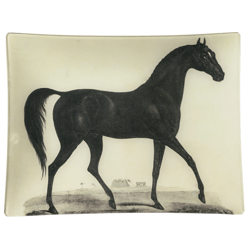 Arabian Horse | John Derian - Bon Ton goods