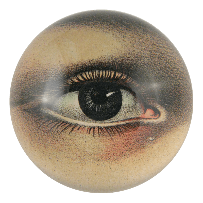 Eye Left | John Derian - Bon Ton goods