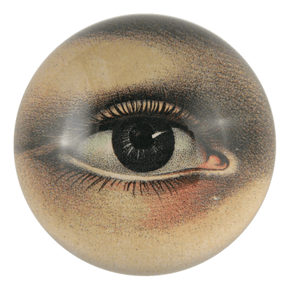Eye Left | John Derian - Bon Ton goods