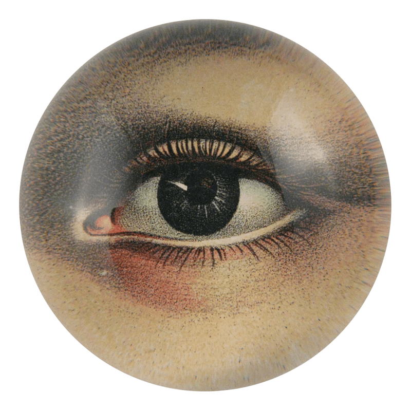 Eye, Right | John Derian - Bon Ton goods