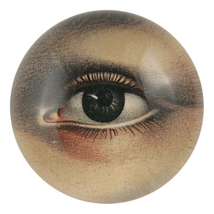 Eye, Right | John Derian - Bon Ton goods