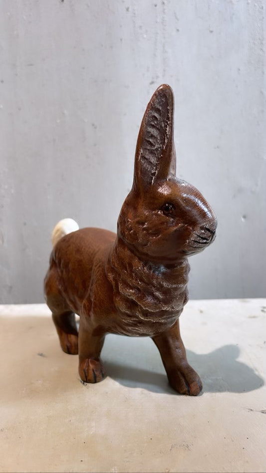 Brown Bunny Walking - Ino Schaller