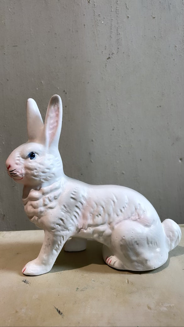 White Bunny Sitting - Ino Schaller