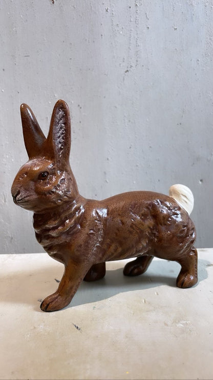 Brown Bunny Walking | Ino Schaller