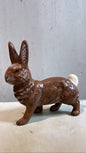 Brown Bunny Walking | Ino Schaller