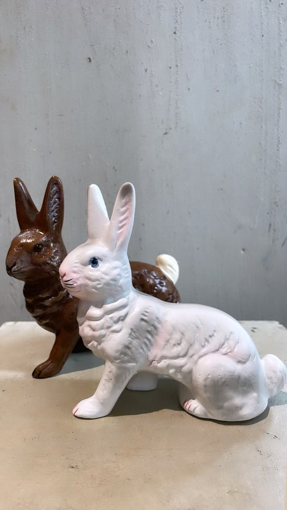 White Bunny Sitting - Ino Schaller