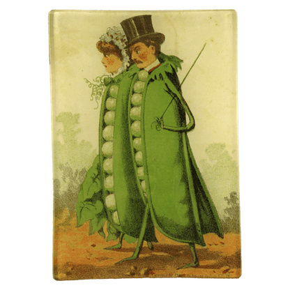Peas in a Pod | John Derian - Bon Ton goods