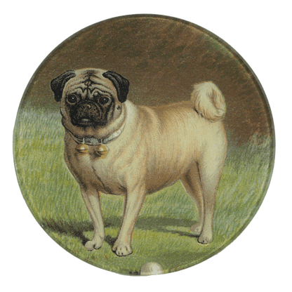 Pug & Ball | John Derian - Bon Ton goods